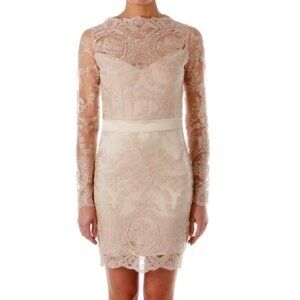 NWT - Zibi London -  Gold Lace Dress - Size UK 14 / US 8